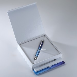 Pilot Limited Edition Twilight Vanishing Point Fountain Pen 2015 Box