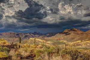 Arizona Monsoon Storm