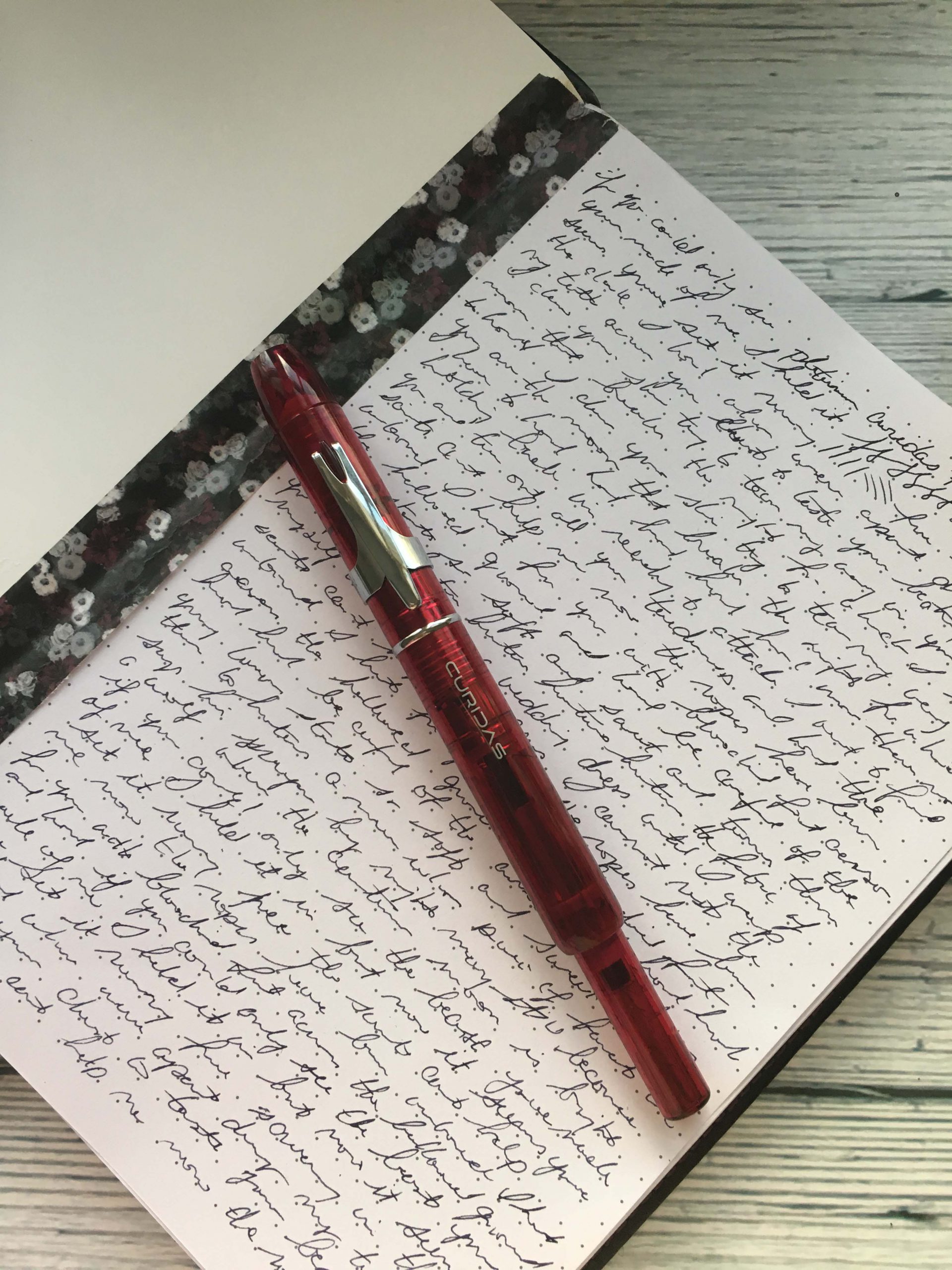 platinum curidas retractable fountain pen review for Pen Chalet