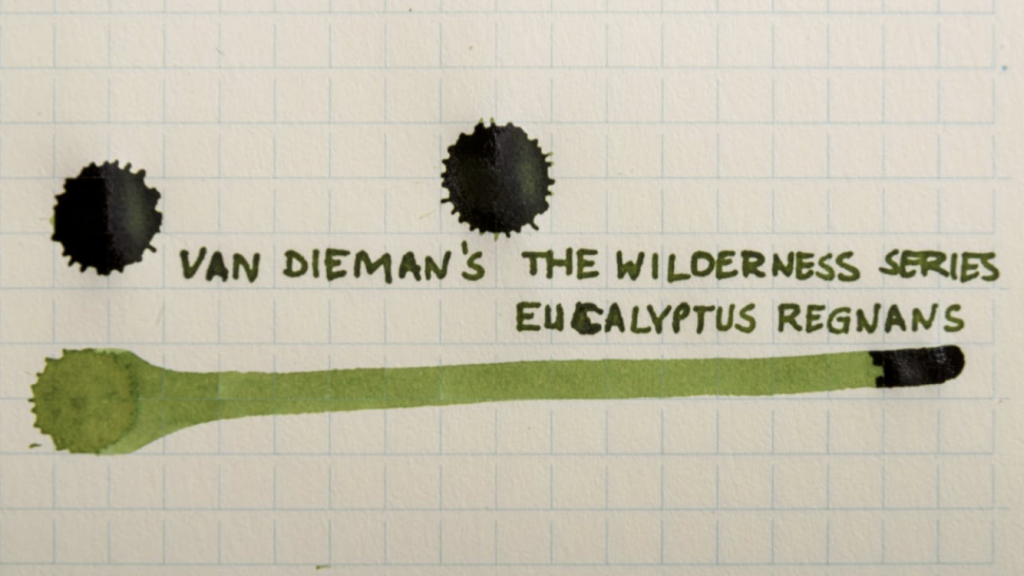 Van Dieman's Wilderness Series Eucalyptus Regnans fountain pen ink
