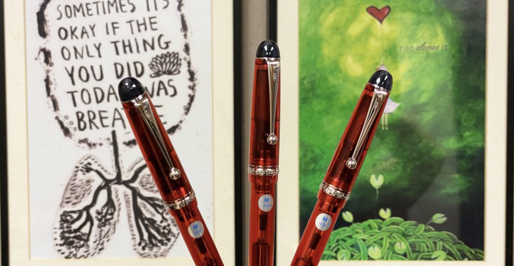 pilot grenadine custom 74 fountain pen review