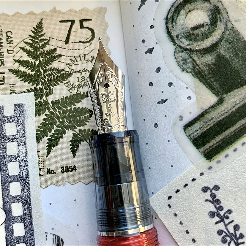 pilot custom 74 grenadine fountain pen review