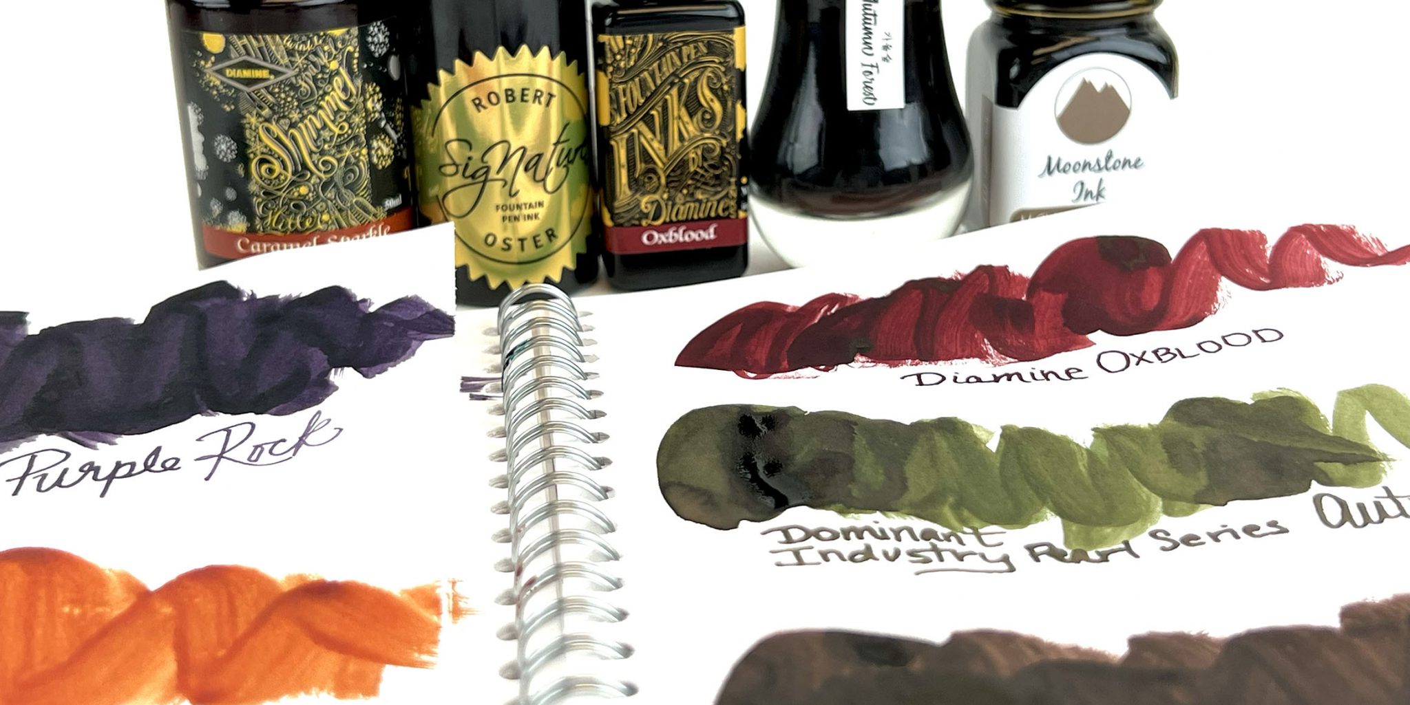 Top 5 Fall Fountain Pen Inks 2022 Which Fountain Pen Inks Do You Love