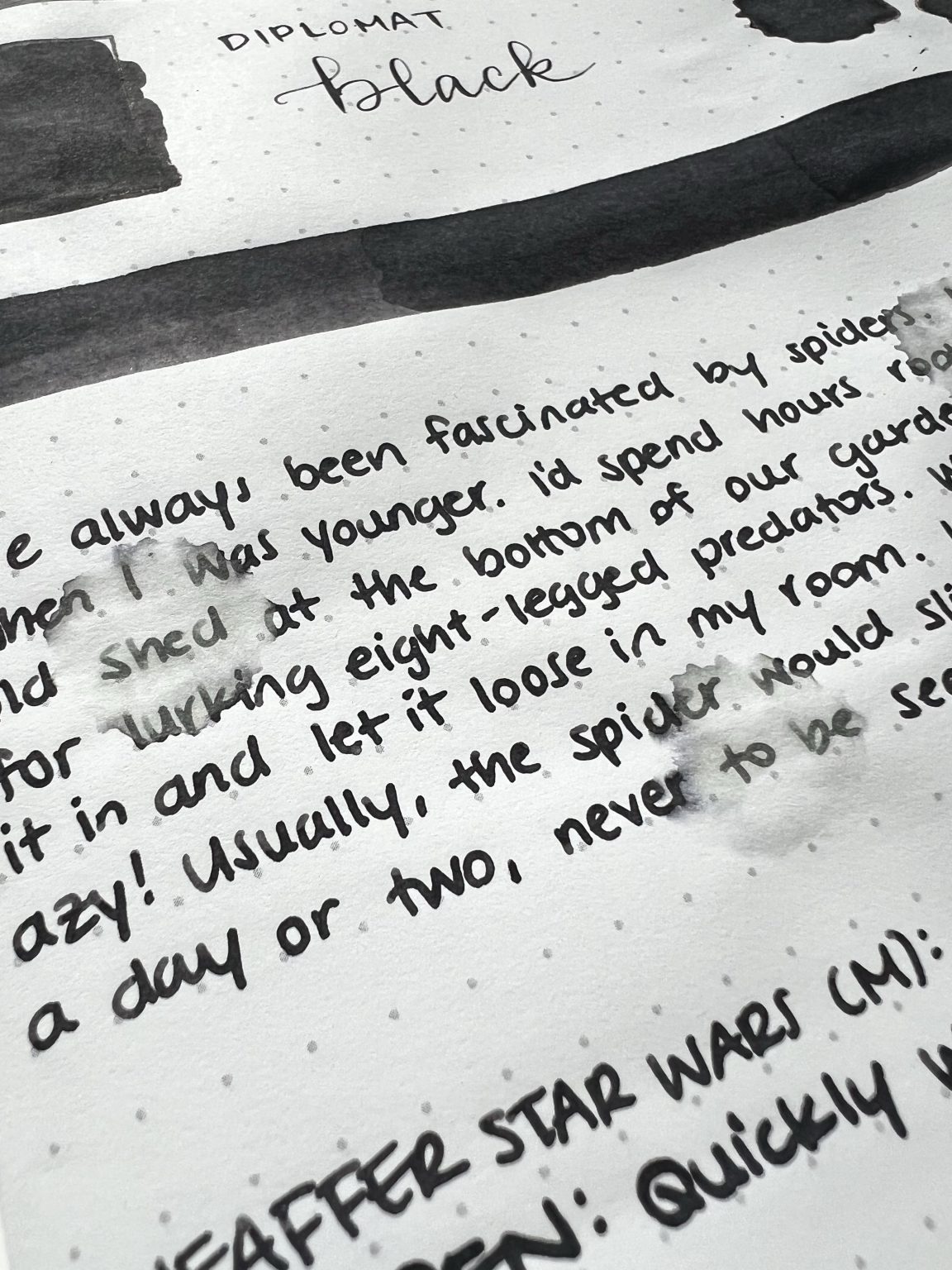 Diplomat Black Ink Review & Giveaway Pen Chalet