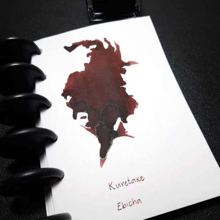 Kuretake Ebicha ink review