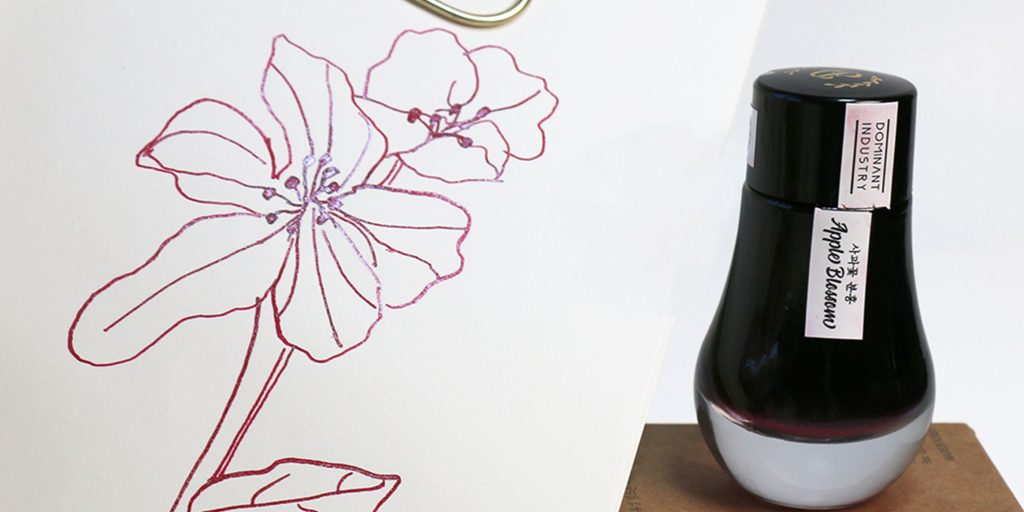 Dominant Industry Apple Blossom Ink Review - ink bottle and sketch.