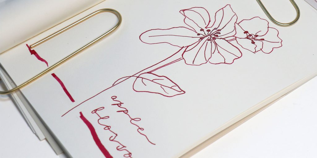 Dominant Industry Apple Blossom ink review showed some shading properties and a lot of silver shimmer.