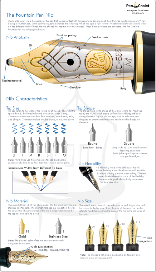 Fountain Pen Nib Infographic
