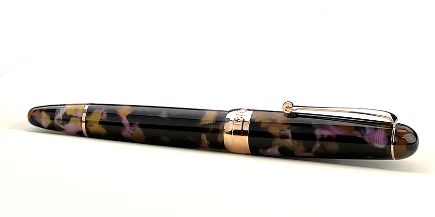 penlux_masterpiece_delgado_euploea_fountain_pen_in_notebook