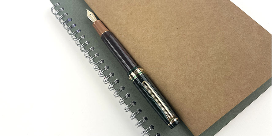 sailor_professional_gear_christmas_pudding_slim_fountain_pens_books