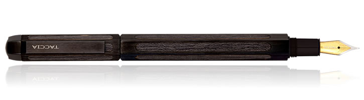 Taccia Timeless Fountain Pens