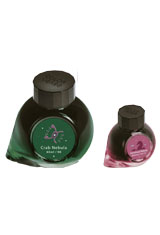 Colorverse Eye on the Universe Fountain Pen Ink