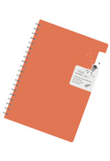 Colorverse Nebula Note Casual Memo & Notebooks in Orange / Dotted