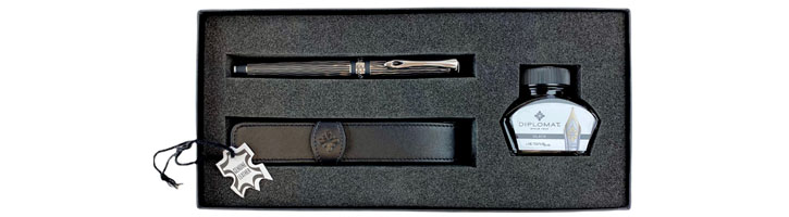 Diplomat Excellence A+ Gift Set with Pen Case, Bottled Ink  Fountain Pens
