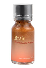 Brain 10ml (Rose Gold / Gold) Wearingeul Wonderful Wizard of Oz Glitter Potion Fountain Pen Ink