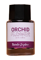 13751-OrchidFlower