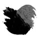 Monteverde Bottled Ink(90ml) Fountain Pen Ink color swatch in Black Ash