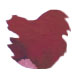 Robert Oster Signature Ink(50ml) Fountain Pen Ink color swatch in Rivers of Blood