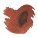 Caran d'Ache Chromatics Sample(4ml) Fountain Pen Ink color swatch in Organic Brown