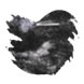 Colorverse Project Fountain Pen Ink color swatch in Shiny Black