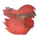 Van Dieman's Ink Harvest (30ml) Fountain Pen Ink color swatch in Sweetheart Cherry