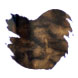 Van Dieman's Ink Underwater (30ml) Series Fountain Pen Ink color swatch in Deep Sea Diver